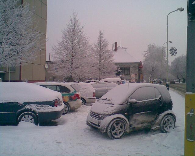 Obrázek